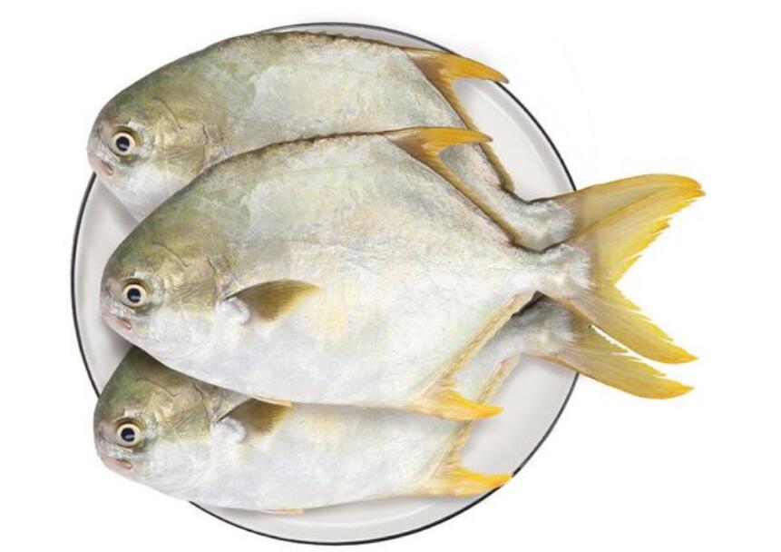 【图文】金鲳鱼怎么做好吃又简单