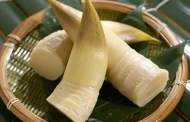 【图文】新鲜竹笋怎么做好吃