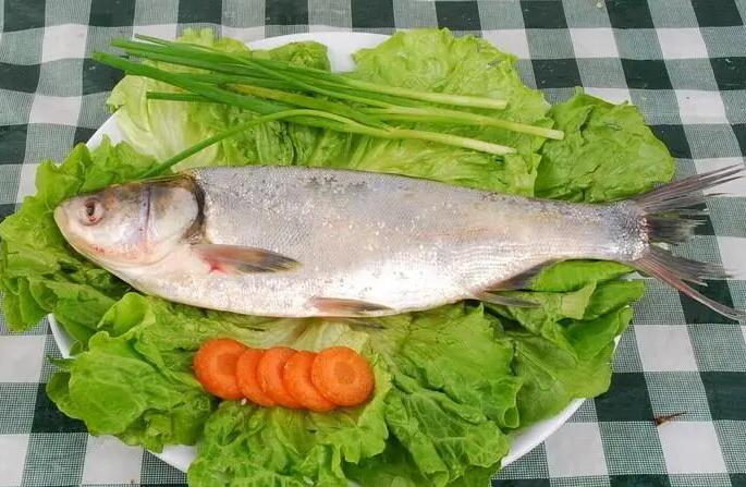【图文】白鲢鱼怎么做好吃法大全